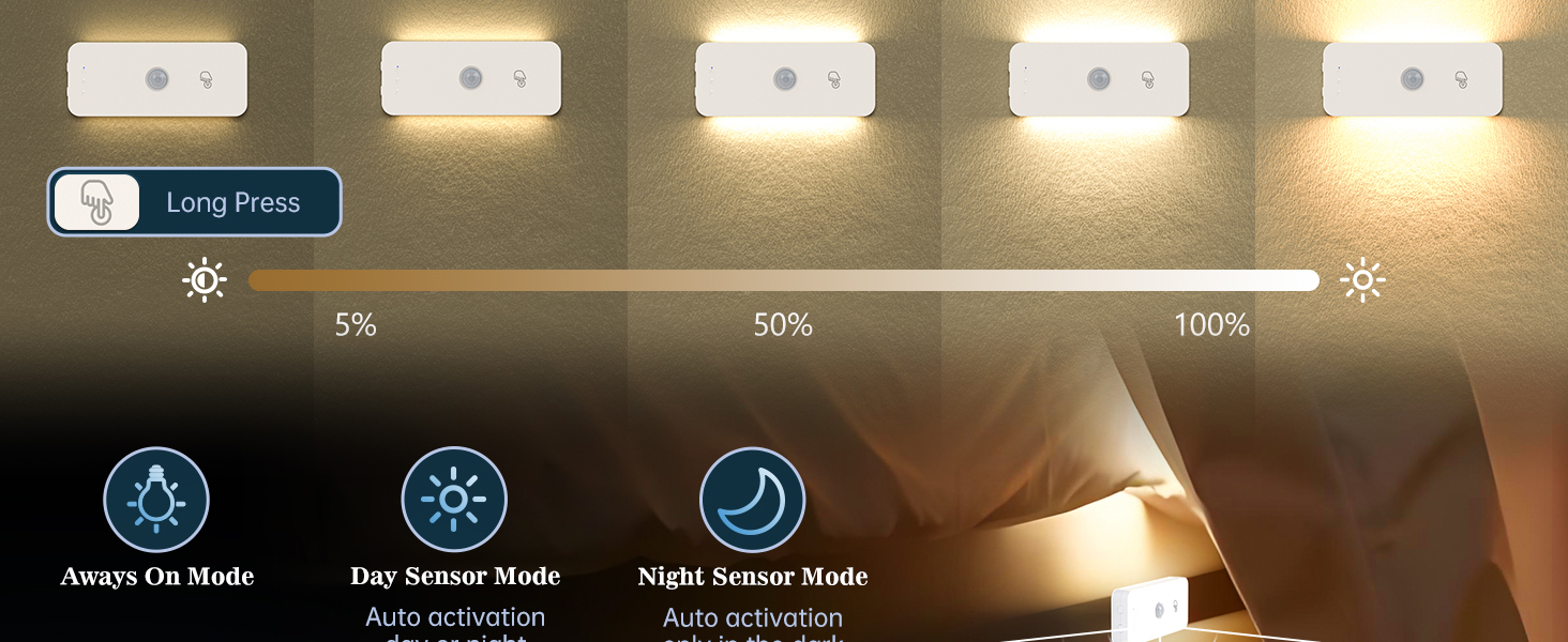 Wall Light