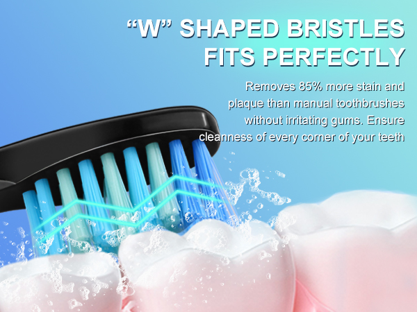 fairywill brush heads