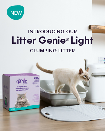 LG new litter