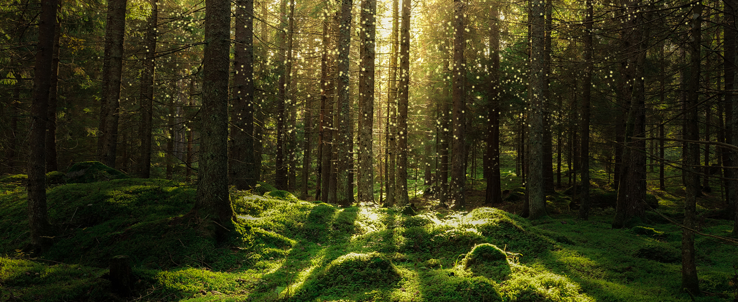sustainability