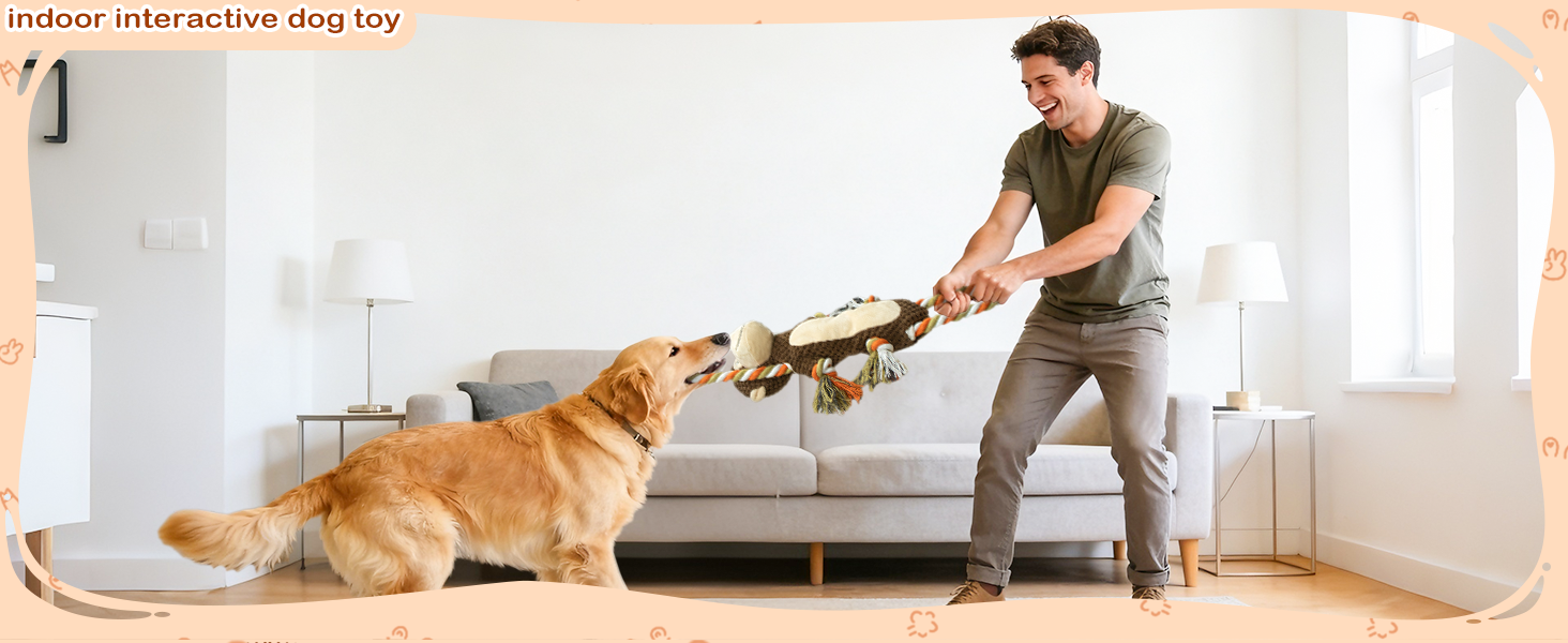 interactive dog toys