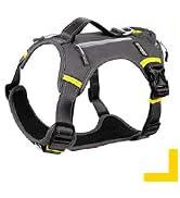 Fida Dog Harness, Multi-Functional No-Pull Pet Vest Harness with Saddle Bags Backpack, Front Leas...
