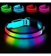 PWOD LED Dog Collar, Light Up Dog Collar USB Rechargeable, Nylon Adjustable Comfortable Soft Brig...