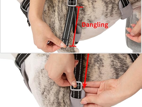 escape proof harness for dog