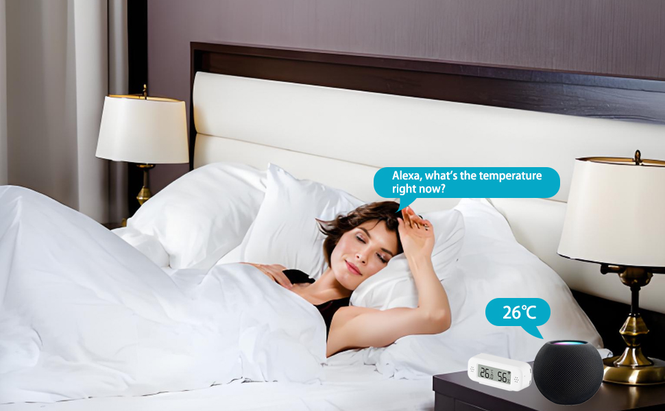 clock tester inside freezer app car portable pro brooder display incubator plant supplies controller