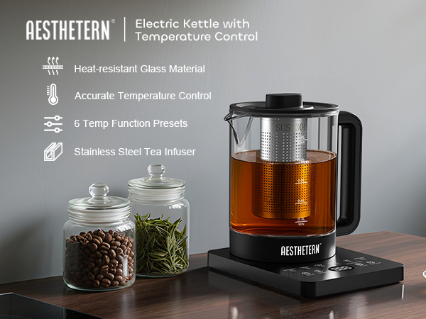 electric kettle with temperature control