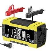 Battery Charger 10-Amp 12V and 24V Fully-Automatic Smart LiFePO4 Lead Acid Portable Car Battery C...