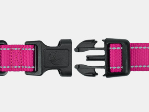dog collar