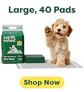 Max absorbency pee pads