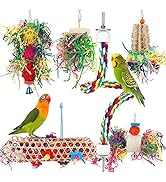 Bird Toys Bird Shredding Foraging Toys Parakeet Toy Chewing Hanging Toy Bird Shredded Paper Bird ...