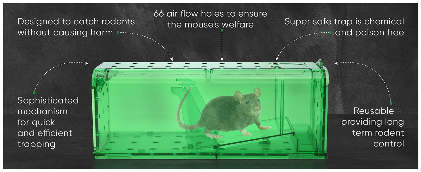 Safe & Humane Live Mouse Trap with Sophisticated Trapping Mechanism
