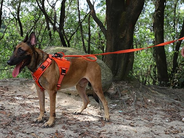 dog vest front clips