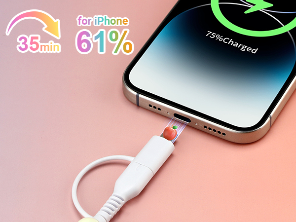 Beaded phone charger for iPhone 16 15 14 13 12 11