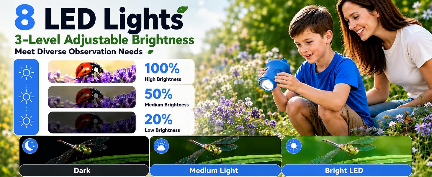 8 LED Lights