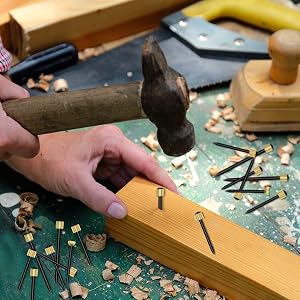 Decorative nails for hanging display