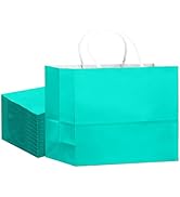 qiqee 24PCS Large Gift Bag with Handles Bulk 13