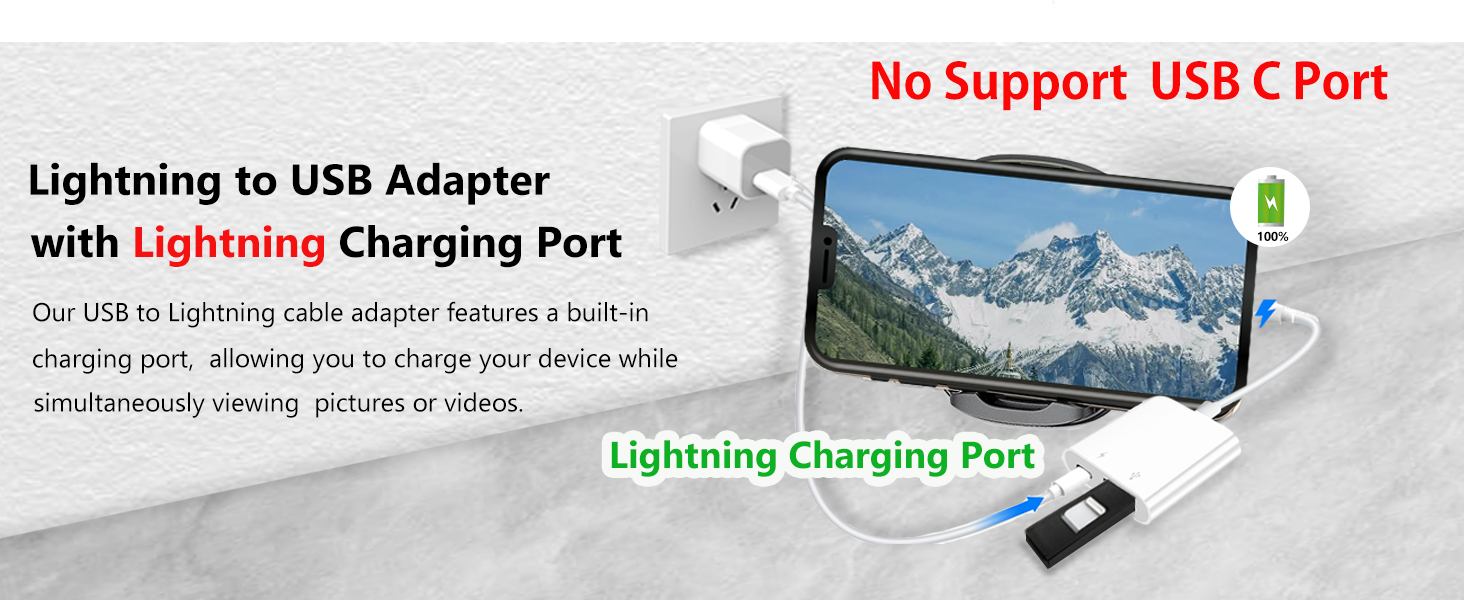 Lightning to USB Adapter