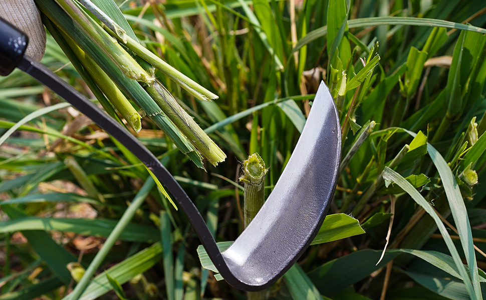 weed remover tool