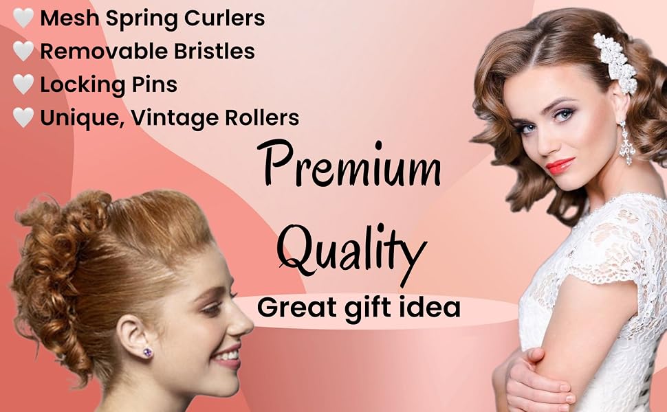 ALAZCO Vintage Style Hair Roller BRUSH ROLLERS PINS Mesh Curlers Bristles Flexible Locking Pins