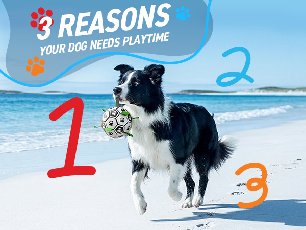 outdoor dog soccer balls