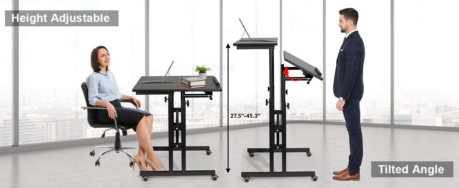 Mobile Stand Up Desk