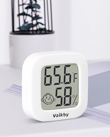Room Thermometer