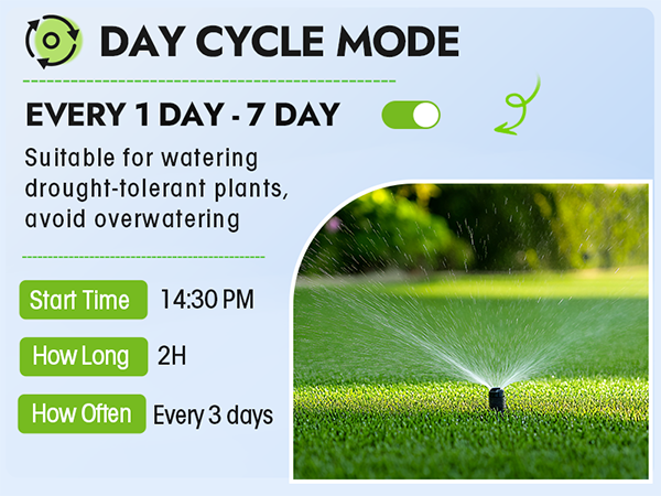 watering timer 2 outlet