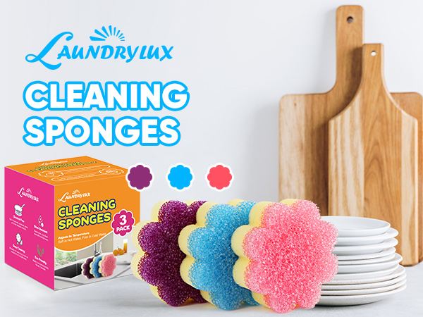 cleaning sponges