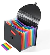 Simpldell A4 Accordion File Folder with Handle | Black 13 Pocket Expanding Document Organizer wit...