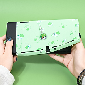 switch OLED case