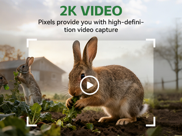 trail cameras with night vision motion activated waterproof