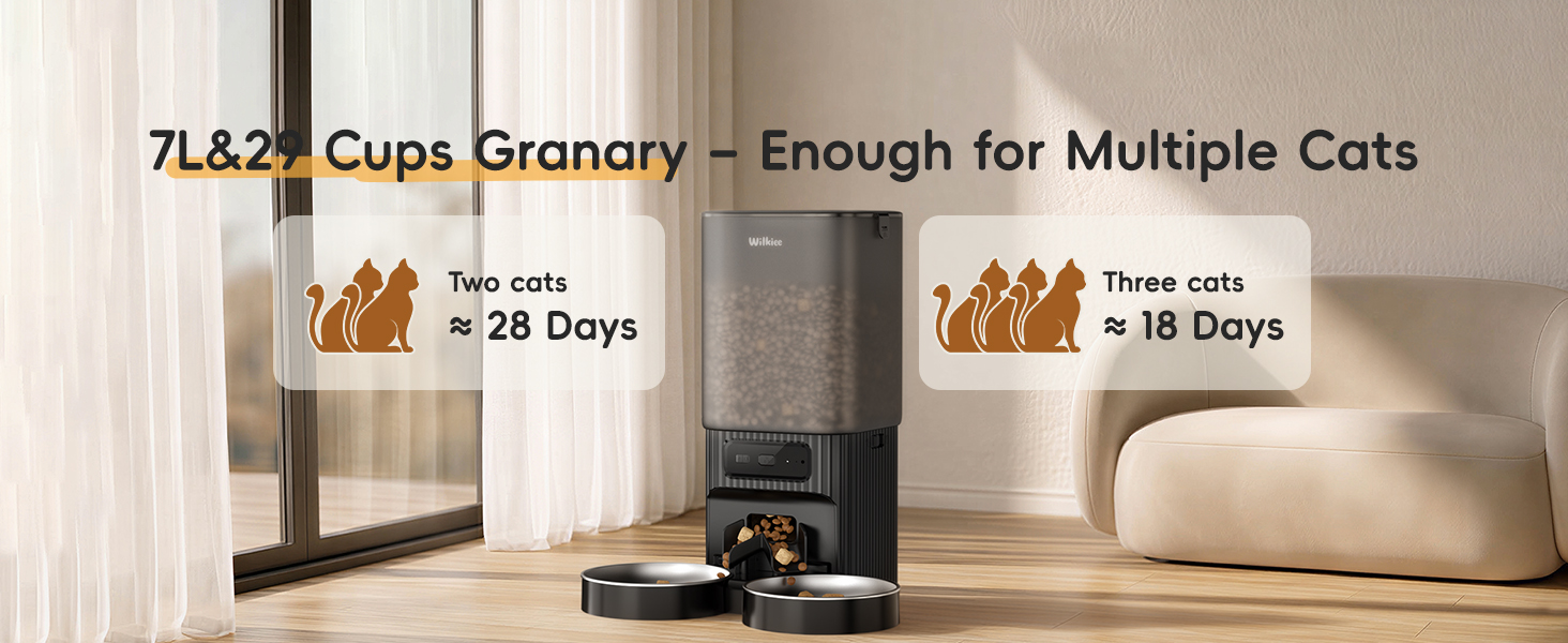 cat feeder for 2 cats