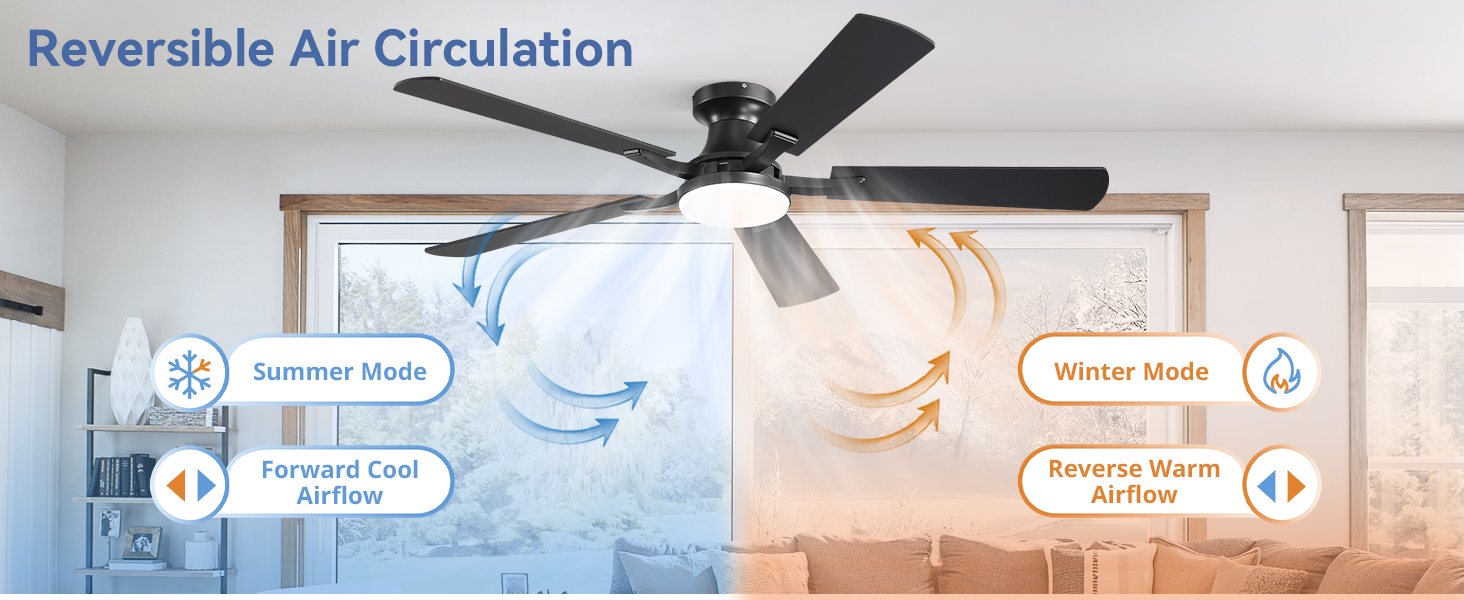 ceiling fan