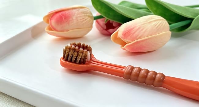 Colorful soft bristle manual toothbrushes for adults