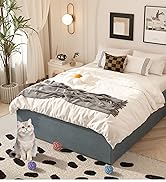 Maenizi 18 Inch Full Size Bed Frame with Skirt, Heavy Duty Metal Bed Frame Full, No Box Spring Ne...