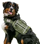 dog saddle bag waterproof hiking perros