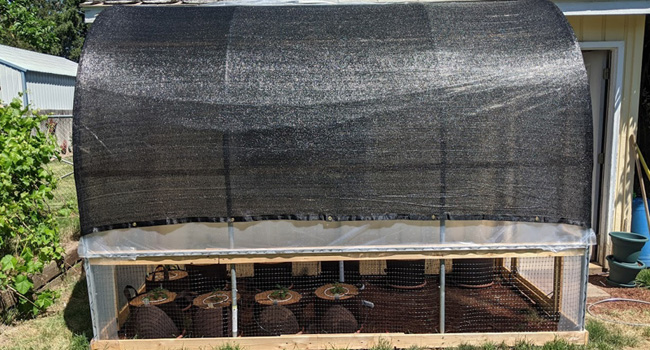 greenhouse shade cloth