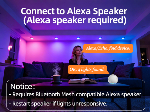 Link Alexa Speaker