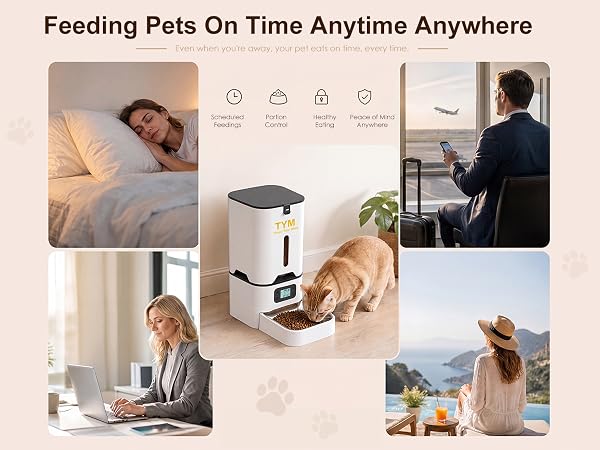 cat food timer automatic feeder