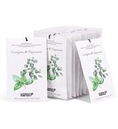 MYARO 12 Packs Eucalyptus Mint Scented Sachets for Drawer and Closet, Long-Lasting Closet Sachet ...