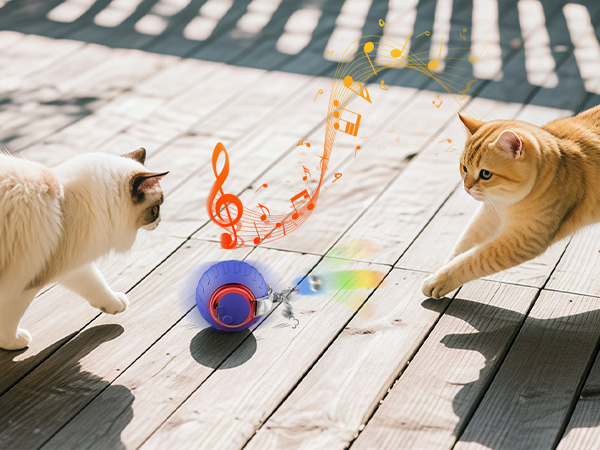 electric cat toy ball