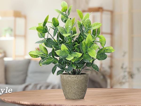 4 potted green plants