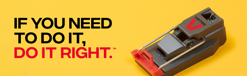 Victor Quick-Kill Mouse Trap - if you need to do it, do it right