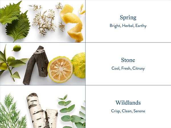 Bar soap scents