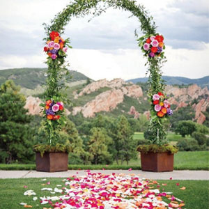 Natural Dried Flowers Kit