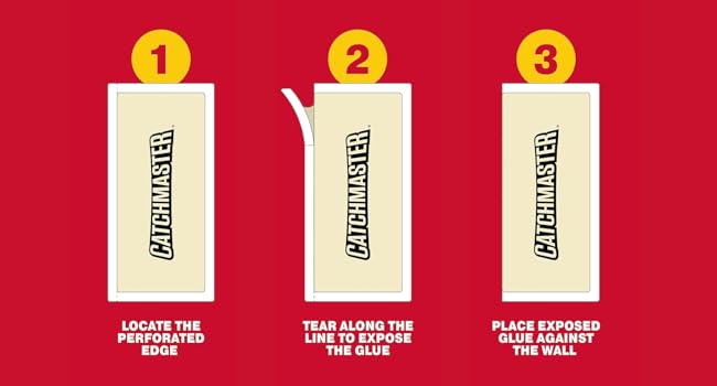 Step 1, 2, 3
