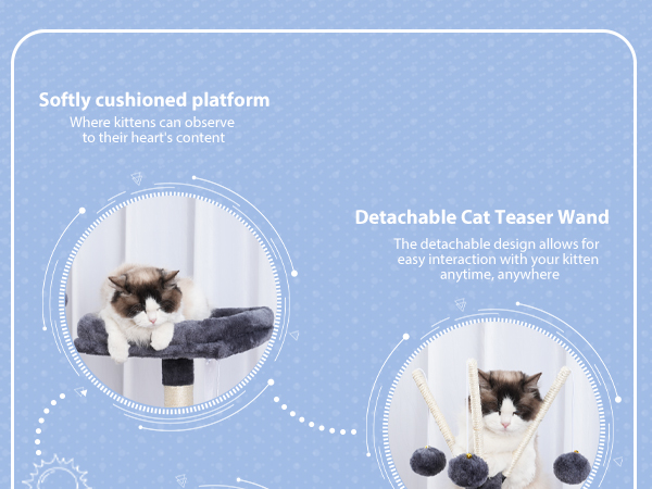 cat bed