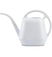 Fasmov Plastic Watering Can, 1-Gallon