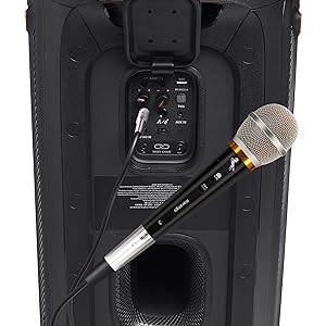 karaoke microphone for speaker
