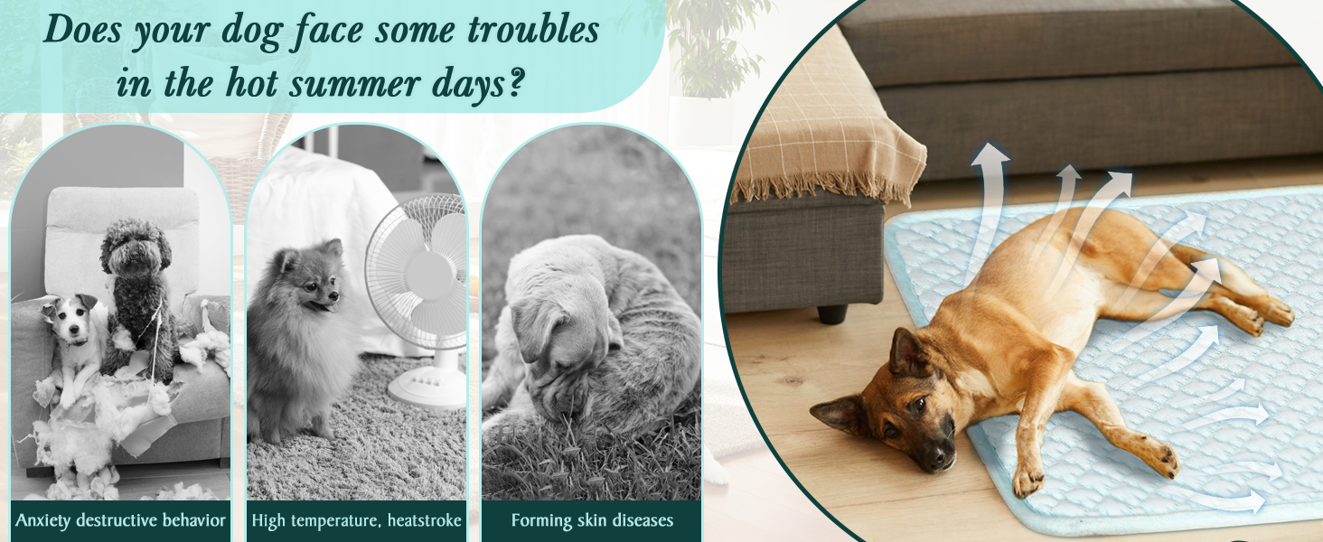 Why Choose the SuBleer Dog Cooling Mat?